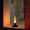 Дизайнерский настольный светильник Nocturnal Flame - фото 1