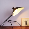 Дизайнерский настольный светильник Cockroach table lamp II - фото 2