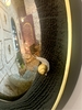 Картина SIZARY snail mirror - фото 4