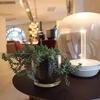 Дизайнерский настольный светильник Empatia Table lamp - фото 2