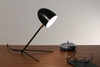 Дизайнерский настольный светильник Cockroach table lamp III - фото 5