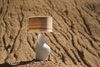 Дизайнерский настольный светильник Dune Table Lamp - фото 1