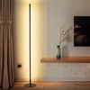 Дизайнерский напольный светильник Black Cane Floor Lamp - фото 1