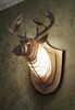 Дизайнерский настенный светильник Deer head with light - фото 1