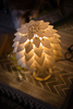 Дизайнерский настольный светильник Celosa - фото 4