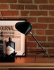 Дизайнерский настольный светильник Cockroach table lamp - фото 3