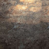 Rusty - фото 1
