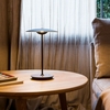 Дизайнерский настольный светильник Ginger table lamp - фото 1