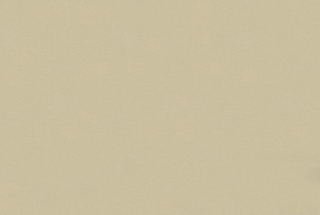 Solid Color Series WD3016