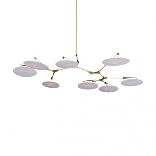 Branching Discs