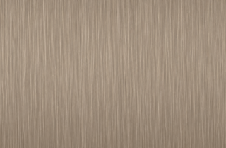 Stainless steel WD25017