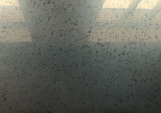 Dust