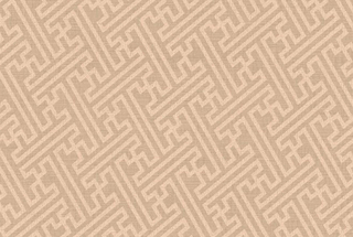 Cloth Series WD25604