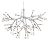 Дизайнерский подвесной светильник Moooi Heracleum II Big